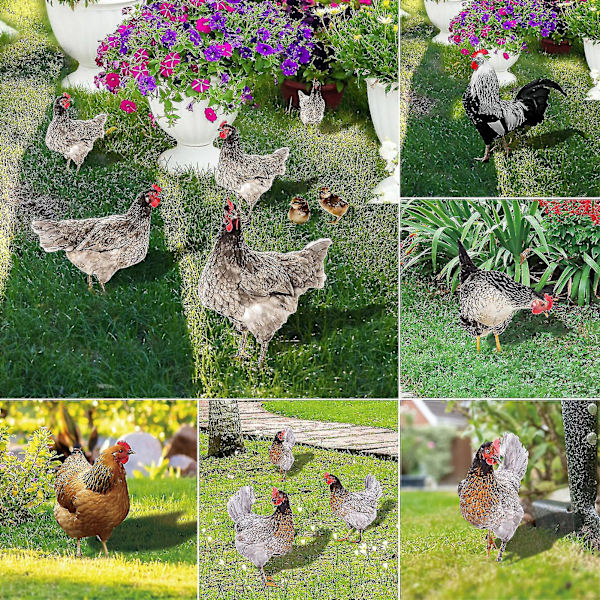 Farfi Hanedekor Realistisk Livaktig Ornament Dobbeltsidig Trykk Akryl Hage Statue Kylling For HageAA[C] I