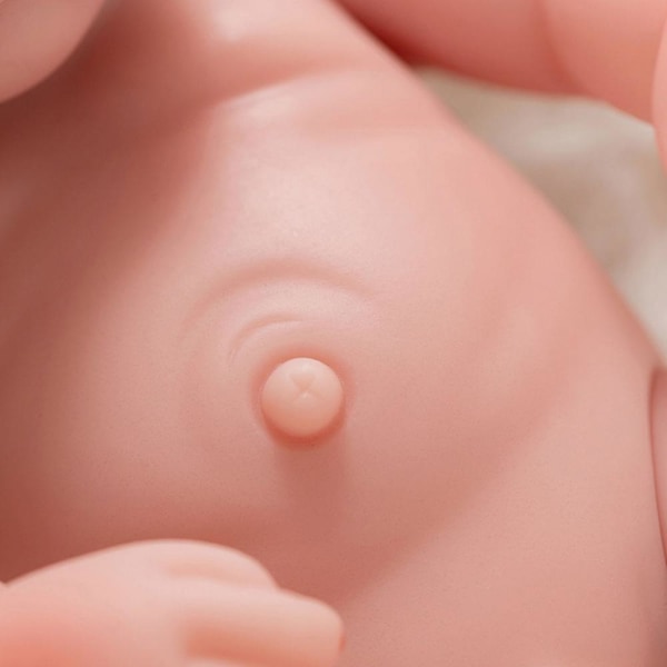 10 Tums Nyfödd Reborn-docka Simuleringsdocka Söt Mjuk Toddler Baby Realistisk Lekleksak för Flickor Barn Födelsedag Julpresent Edu