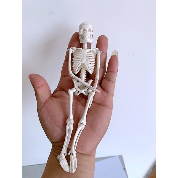 Miniskelettleksak Tiny Skelettmodell med löstagbar skalle för K