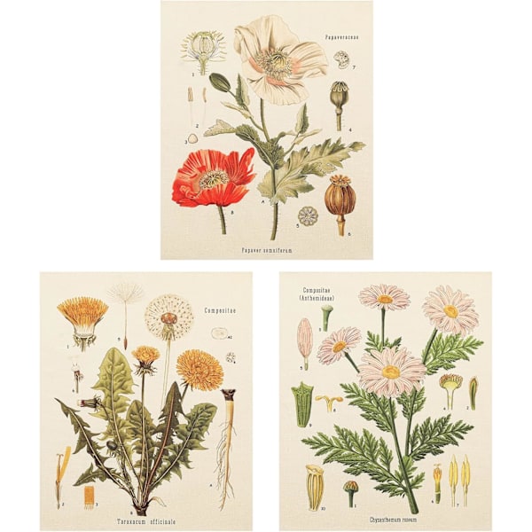 3 st blommiga väggbonader - vilda blommor växt blommor gobeläng identifieringskarta liten gobeläng för sovrum vardagsrum (gobeläng