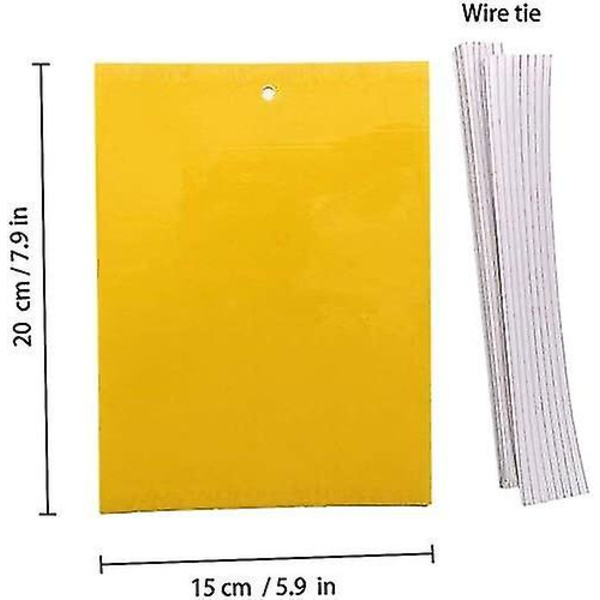 100 stk Gule Dobbeltsidige Fluesnapper, Dobbeltsidige Gule Feller For Flygende Insekter[C]