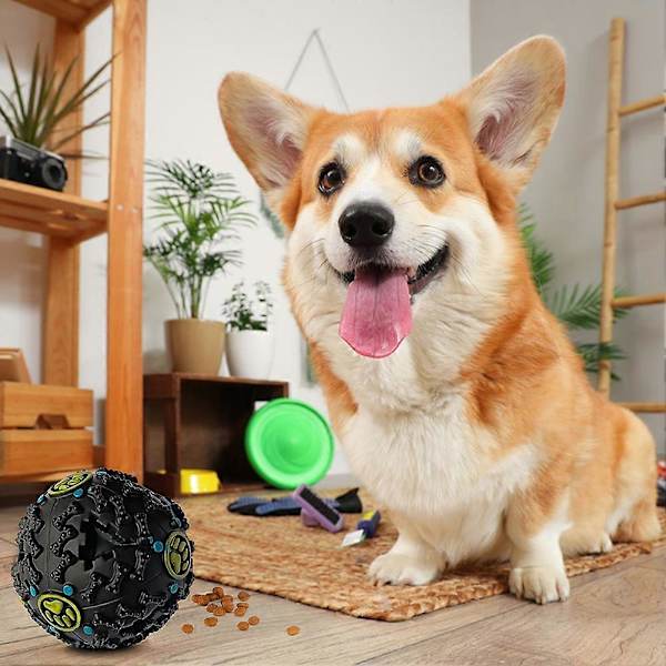 Giggle Bold til Hunde - Multifunktionel Kvækkende Hundefoderbold - Sjov Vinyl Interaktivt Kæledyrslegetøj til Indendørs og Udendørs