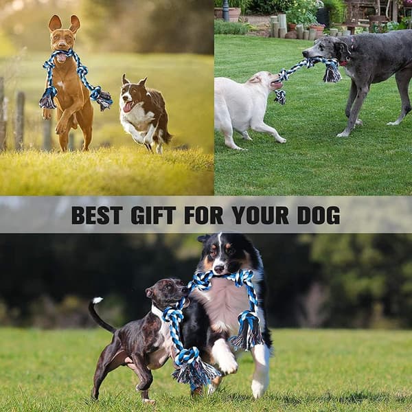 Robust tyggelegetøj til store til mellemstore hunde, 92 cm, 5 dele