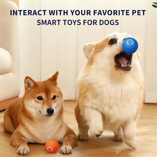 Automatisk Rullande Boll Katt Leksak Smart Interaktiv Hund Leksaker Bollar Laddningsbara Husdjur Berikning Leksaker Bita Resistent