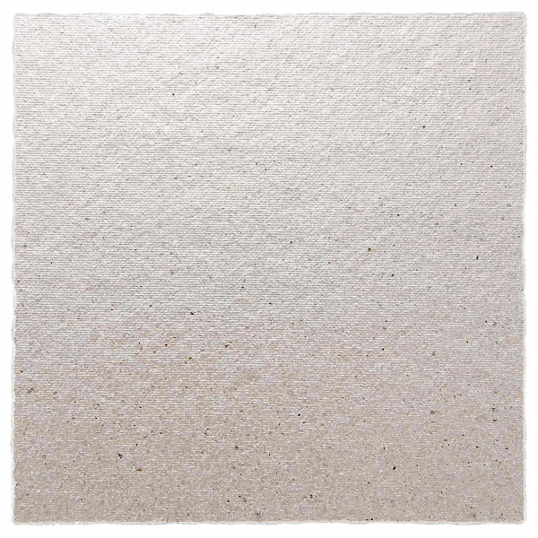 2 st Ersättnings-Mica-plattor 12 x 12 cm för Mikrovågsugn-AM