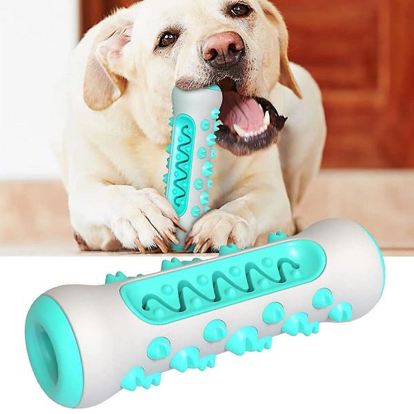 Tandborsttugg Leksak för Hundar Tuff Hund Valp Tandborste Gummi Tuggleksak Ben