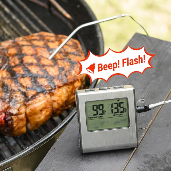 TP16 Digital stegetermometer med timer til grill, grill, røg (FMY)[C]