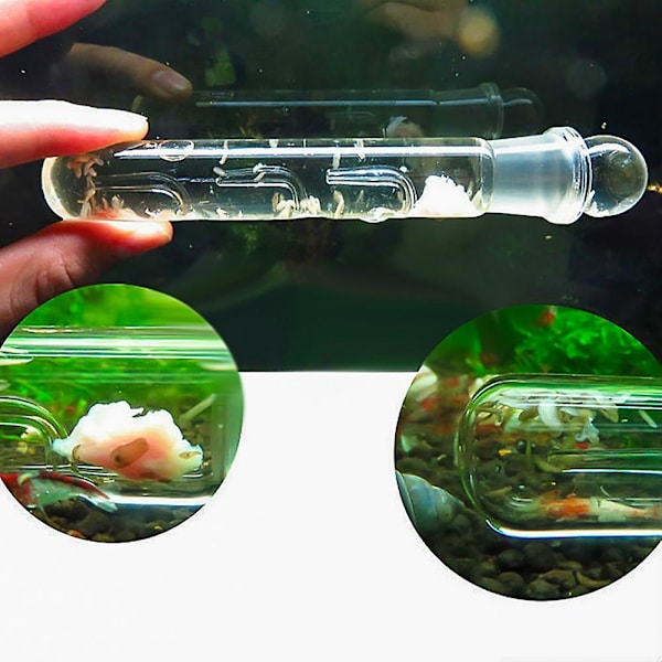 Glas 3-huls Akvarium Skadedyrsfanger Fiskekum Planaria Igelorm Ormfælde Rengøringsmiddel Qinhai
