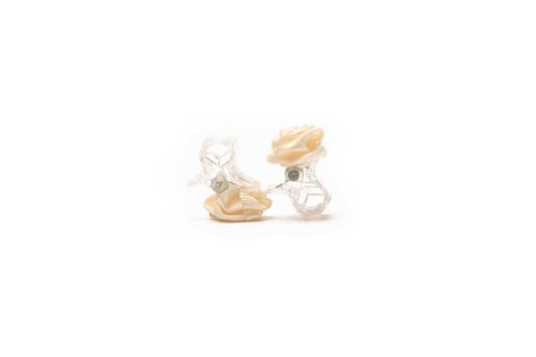 Hiusklipsit Ruusuhiusklipsi 10 kpl[C] Beige