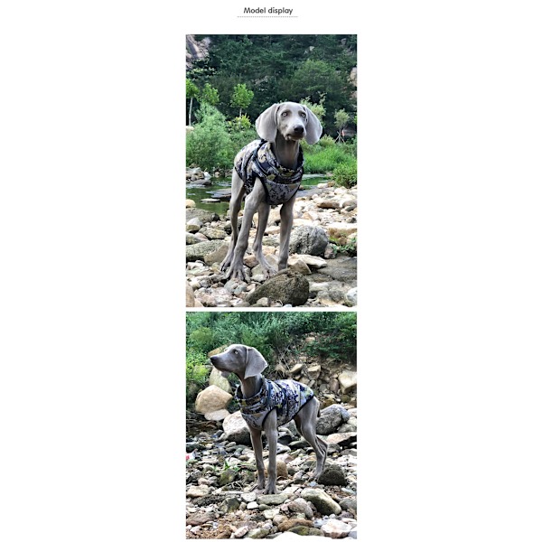 Stor hundjacka med sele - Vintervarma hundkläder för Labrador - Vattentät stor hundkappa - Chihuahua fransk bulldogg - Kamouflage[HK] 2XL Kamouflage