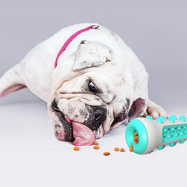 Tandborsttugg Leksak för Hundar Tuff Hund Valp Tandborste Gummi Tuggleksak Ben