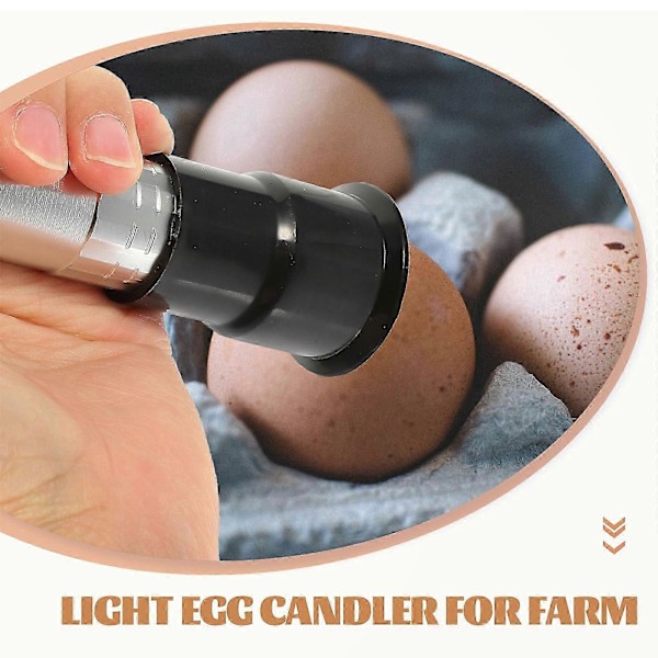 Äggkläckningsmaskin Äggdetektor Professionell Ägglysningslampa Ficklampa Ägglysare för Gård (C)