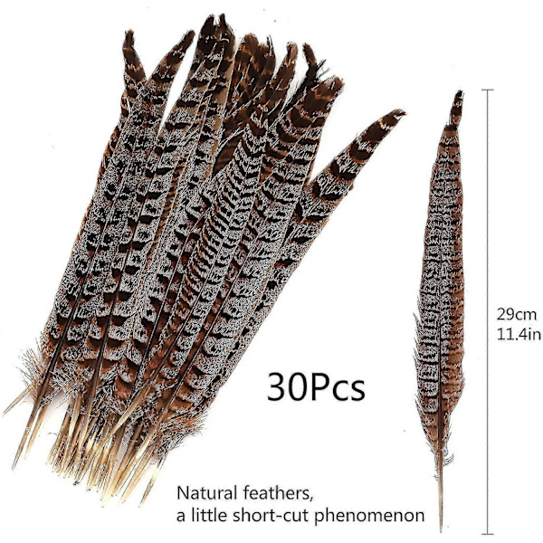 30 stk Naturlige Fasanfjer, DIY Fasanhalefjer, 15-28 cm Bløde Indfødte Plume Til Hårhatte Håndværk Festdekoration, Naturlig Farve
