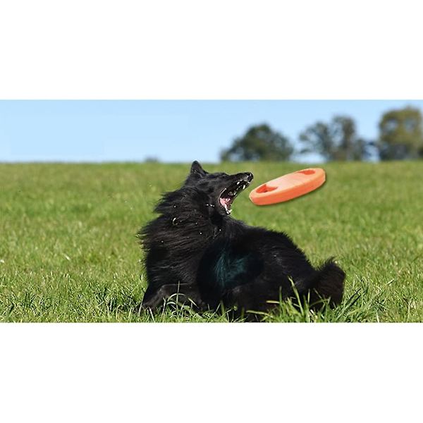 9 Tuuman Lentävä Koiran Frisbee, Pehmeä Eva Uiva Vesikoiran Lentävä Frisbee-Pyydystin Leikkiin ja Koulutukseen
