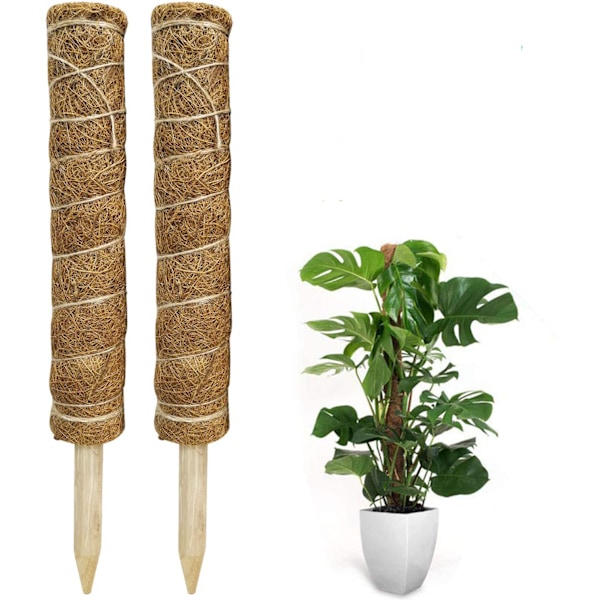 Moss pinne, 2 stycken 40 cm Monstera klätterhjälp, förlängningsbar (C)