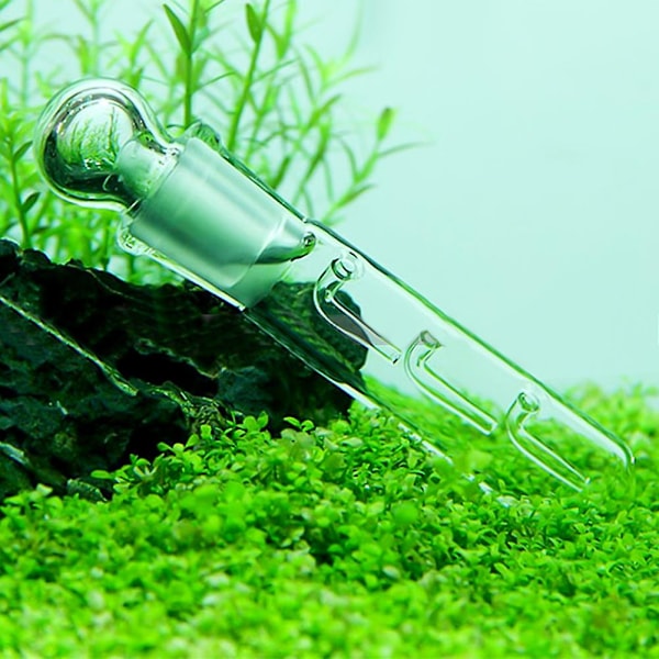 Glas 3-huls Akvarium Skadedyrsfanger Fiskekum Planaria Igelorm Ormfælde Rengøringsmiddel Qinhai