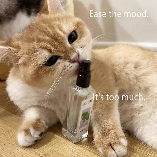 Joy Cat Herbal Spray, Kattnipspray för Katter, Kattträningsspray med Kattnip