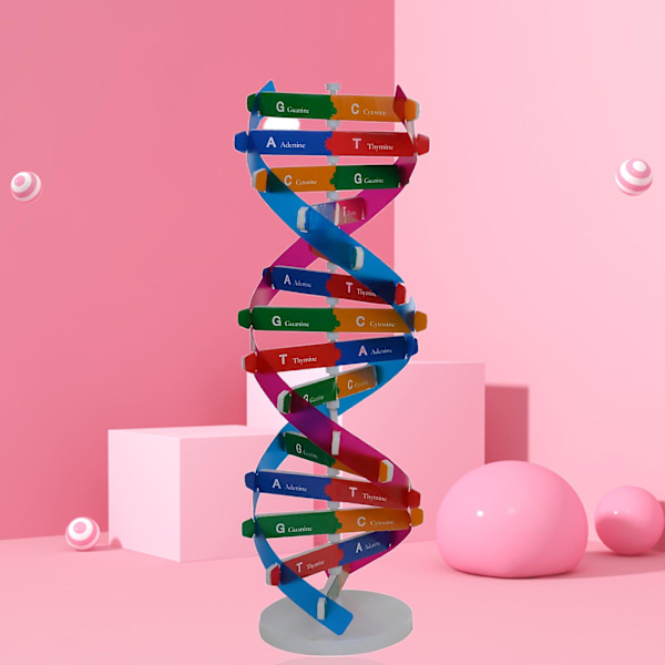QingHai DNA Modeller Dobbelt Helix Struktur Undervisningslegetøj ABS Dobbelt Helix DIY Menneskelige Gener til Biologisk Videnskab