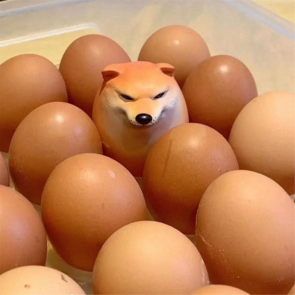 5x Ägg-Hund Shiba Inu Realistisk Äggformad Skrivbordsdekoration Hund & Ägg Union Dekoration för Hemmakontor Kul
