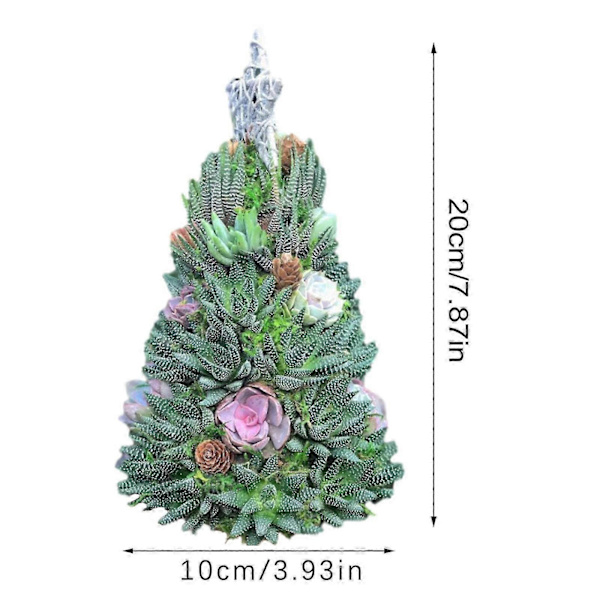 Julgåvor  Överraskningsgåva Julsucculentträd