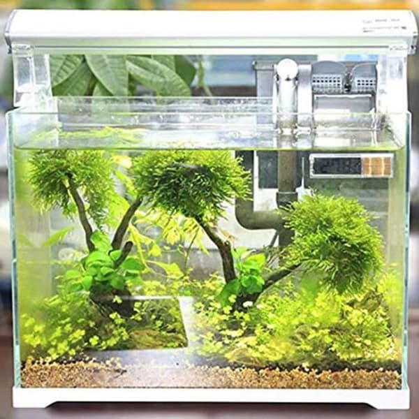 Akvarietermometer Akvarium Vanntemperaturmåler Nedsenkbar Sensor, Tilfeldig[YJD]