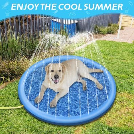 Oppblåsbart hundebasseng - 100 cm - Sammenleggbart - Tykt - Lekematte for sommer, hage, strand, bakgård - Blå[C]