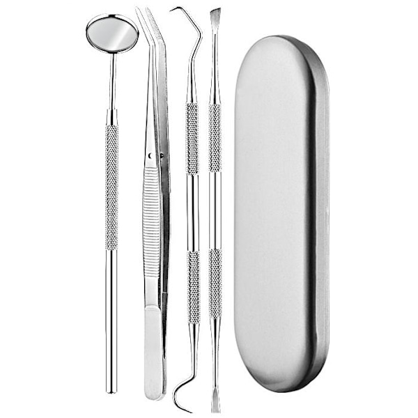 Professionell Tartarborttagningskit, 4-delars Silver