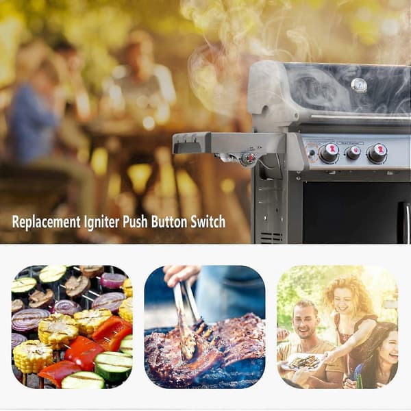 Weber E-330/E-320/E-315/E-310/E-210 Gasgrill Tændingskontakt Udskiftning