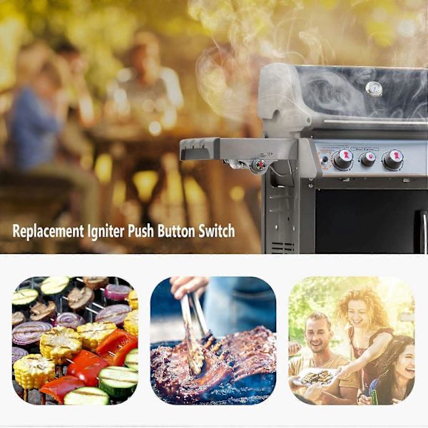 Weber E-330/E-320/E-315/E-310/E-210 Gasolgrill Tändningsknapp Ersättning