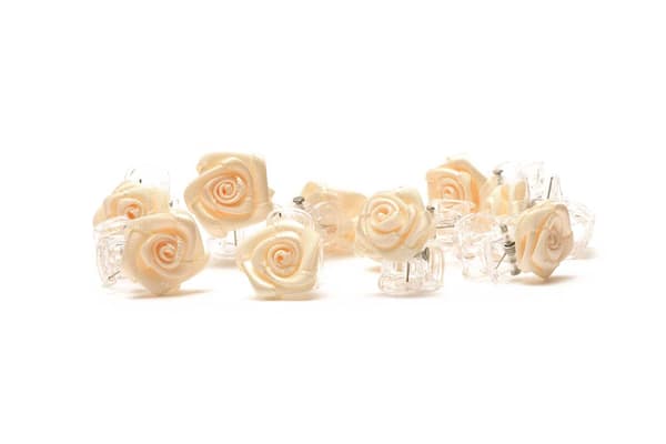 Hiusklipsit Ruusuhiusklipsi 10 kpl[C] Beige