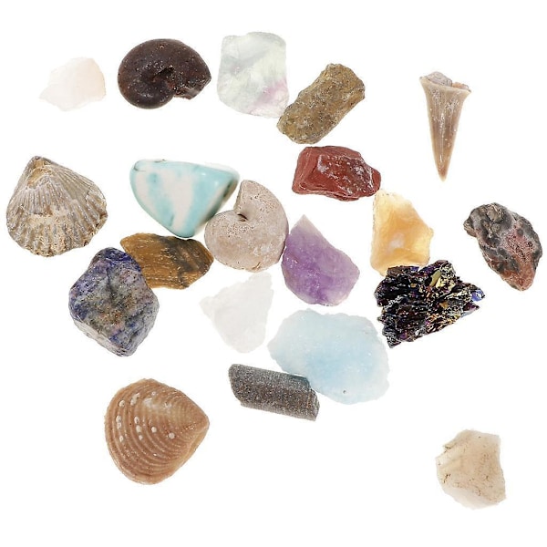 Pedagogiskt Geologi Vetenskapsset Sten & Mineral Samling GN201 - 20-pack (C)