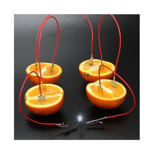 Fruktbatteri Ljusdiodgenerator Vetenskapsexperimentsats Studentutbildningsleksak