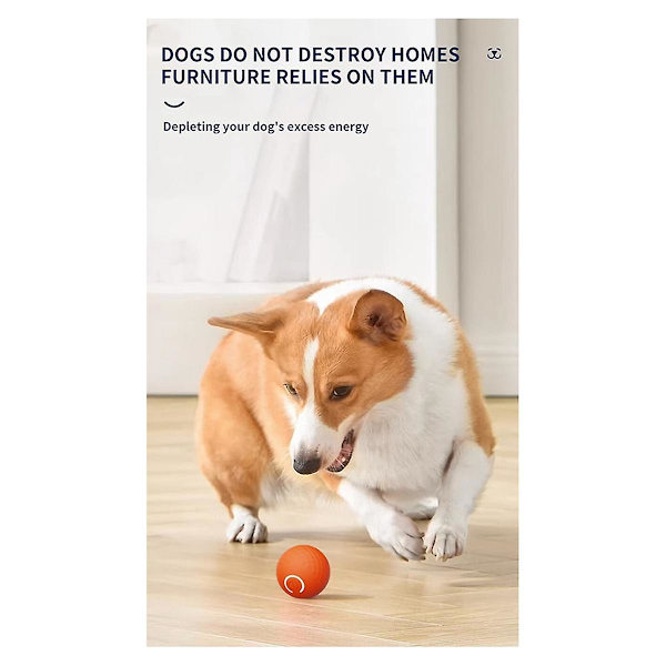 Automatisk Rullande Boll Katt Leksak Smart Interaktiv Hund Leksaker Bollar Laddningsbara Husdjur Berikning Leksaker Bita Resistent