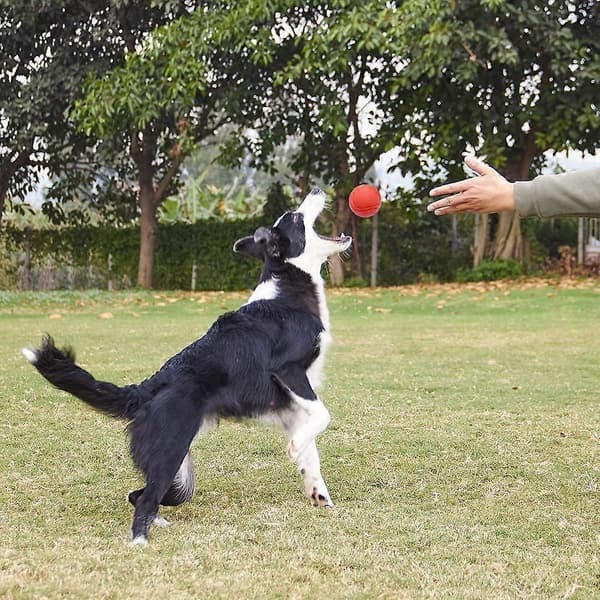Oförstörbara Hundträningsbollar i Gummi 2-pack