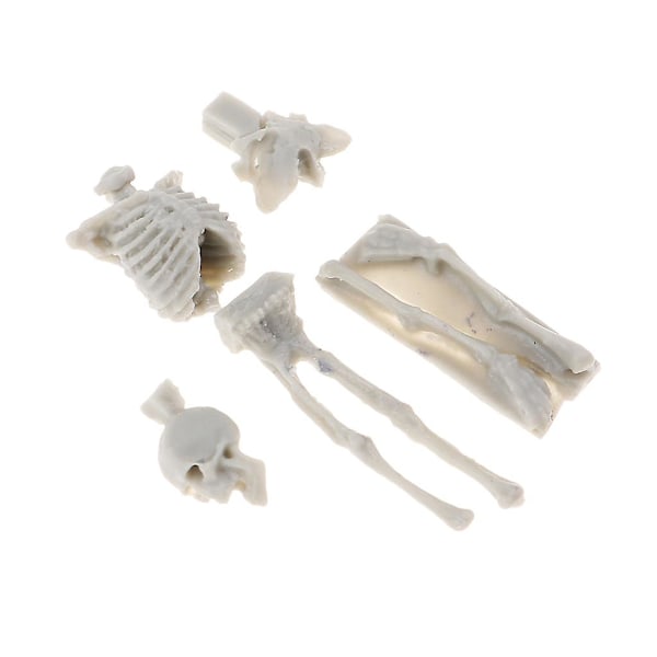 Omonterad Omålad Sats 1/35 Resin Skalle Skelett Modell Leksak Layout Scenery (C)
