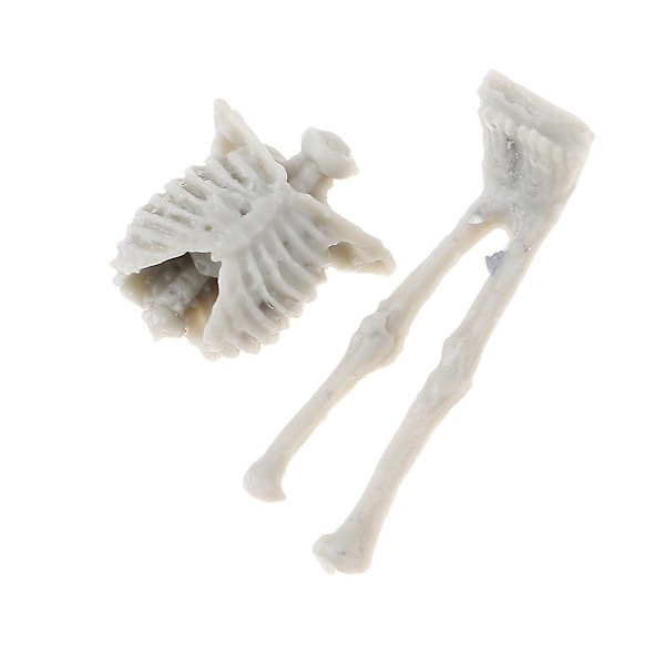 Omonterad Omålad Sats 1/35 Resin Skalle Skelett Modell Leksak Layout Scenery (C)