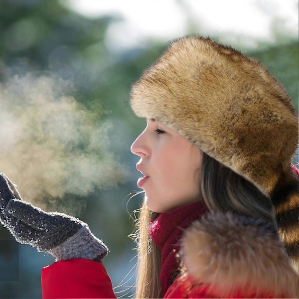 Vinterhat med imiteret pels, vaskebjørnhale, russisk rund flad top, ørebeskyttelse, fortykket efterår, vinter, termisk damehue til camping, One Size (C)