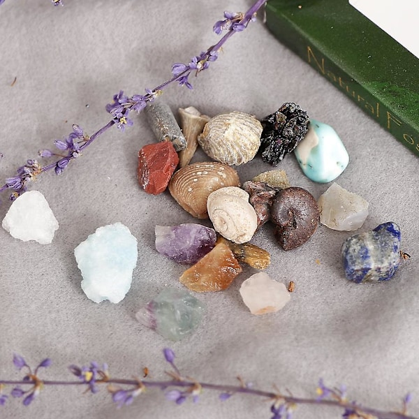 Pedagogiskt Geologi Vetenskapsset Sten & Mineral Samling GN201 - 20-pack (C)