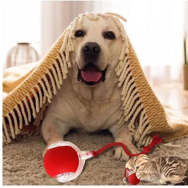Rullande Boll, tuggboll för Hundar och katter Tuggbboll för Hundar, Interaktiv Hund Smart Boll Leksak, Interaktiv Katt Boll Leksak, 360° Smart