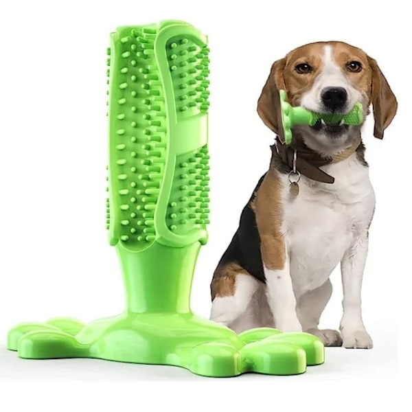 Tuggummi leksaker för hundar, hundtandborste, tandrengöring leksak, hund husdjur tandborstar, borstning stick