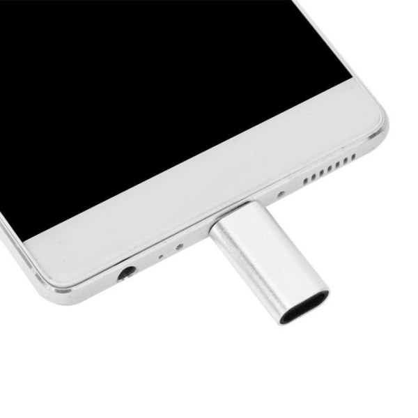 FHE-Mini Bärbar Lightning till Micro USB-adapter för Galaxy Note 2/3/4 Silver