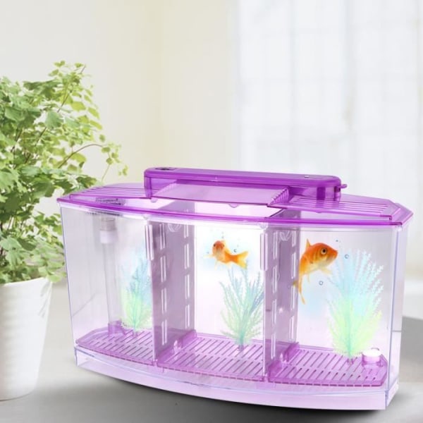 Cikonielf Mini akvarium akvarium akvarium LED akryl tre divisioner avelsisoleringsbox för små fiskar