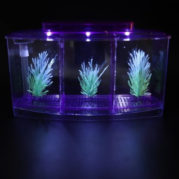 Cikonielf Mini akvarium akvarium akvarium LED akryl tre divisioner avelsisoleringsbox för små fiskar