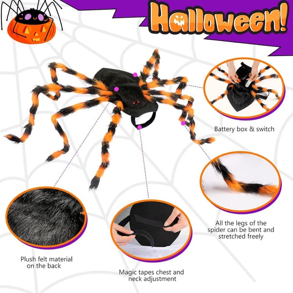 Halloween edderkoppekostume til hunde – velegnet til mellemstore og store racer. S 60cm