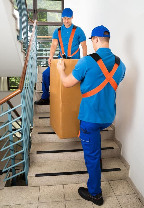 [2F] Bærestropper for flytting, Stropper for 2 personer, Stropper opptil 360 kg, Antiskli-belagte løftestropper, Webbing