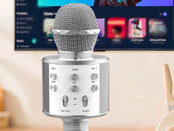 [2F]Trådlös mikrofon bluetooth karaokehögtalare rund med fodral olika positioner Silver silver