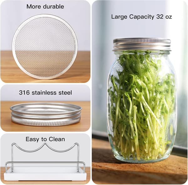 [2F]Breda Mun Quart Spireglas, Spirelåg i rustfrit stål til minimalistisk design, Spire til sundhed med lethed (Komplet Spirekit)