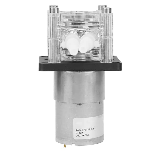 [2F]Peristaltisk pump med högt flöde och stark sug DC12V motor