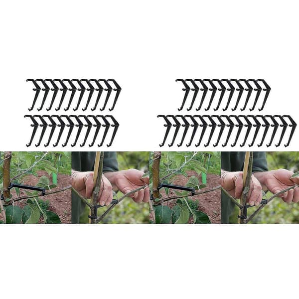 [2F]20 st fruktträdsgrenspridare för starka spridningsvinklar grenar 25PCS