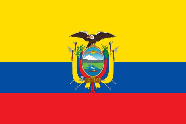 [2F]Ecuadoriansk flagga 100